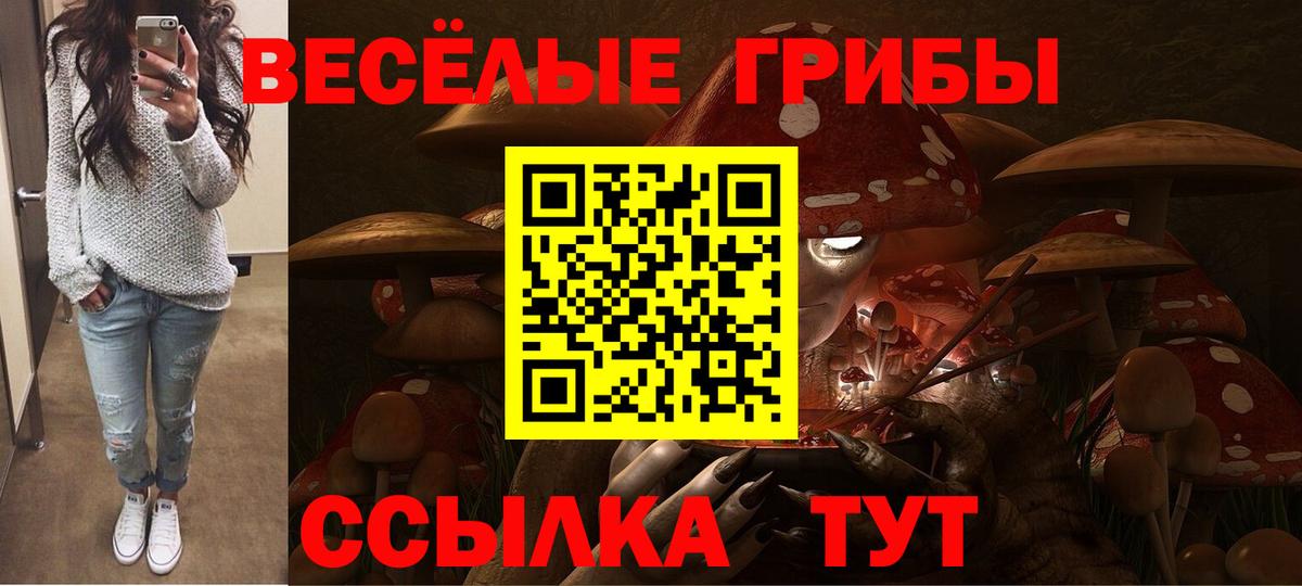 где найти наркотики  Вход с VPN  Галлюциногенные грибы GOLDEN TEACHER  Рассказово  Псилоцибиновые грибы Psilocybine cubensis 